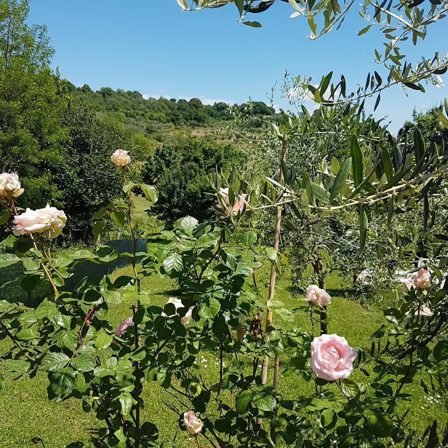 Bed and Breakfast L'Albero Di Gameli Чиуси Экстерьер фото
