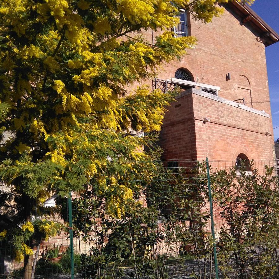 Bed and Breakfast L'Albero Di Gameli Чиуси Экстерьер фото