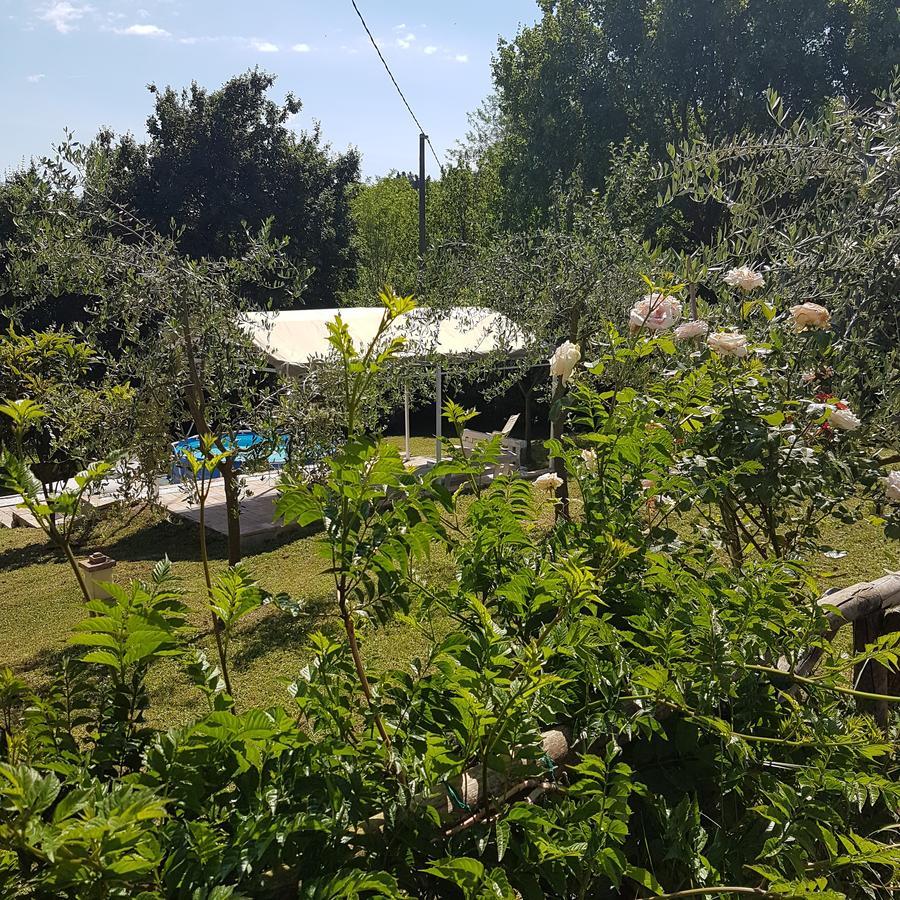 Bed and Breakfast L'Albero Di Gameli Чиуси Экстерьер фото